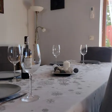 Dom Olena Holiday home *